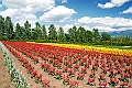 _DSC7331