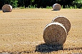 _DSC7426