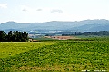_DSC7429