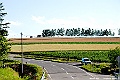 _DSC7430