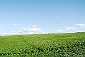 _DSC7432