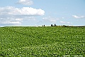 _DSC7433