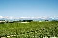_DSC7435