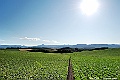 _DSC7437
