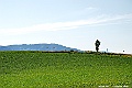_DSC7438