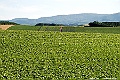 _DSC7439
