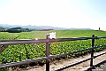 _DSC7440
