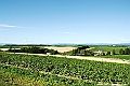 _DSC7447