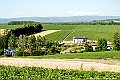 _DSC7448