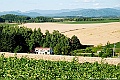 _DSC7449