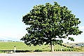 _DSC7450