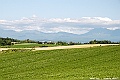 _DSC7451