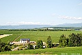 _DSC7452