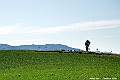 _DSC7456