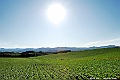 _DSC7458