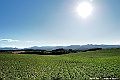 _DSC7459