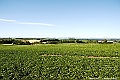 _DSC7462