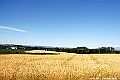 _DSC7468
