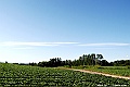 _DSC7469