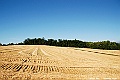 _DSC7470
