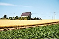 _DSC7472