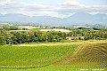 _DSC7474