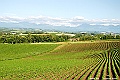 _DSC7475