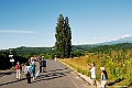 _DSC7478