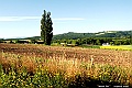 _DSC7479
