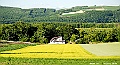 _DSC7481