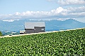 _DSC7486