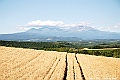 _DSC7512