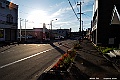 _DSC7555