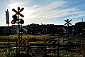 _DSC7566
