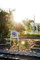 _DSC7580