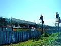 DSCF6960