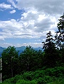 DSCF6986