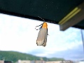 DSCF7047