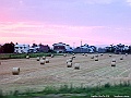 DSCF7115