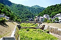 _DSC7742