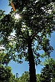 _DSC7786