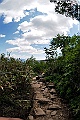 _DSC7821
