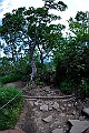 _DSC7823