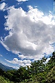_DSC7828