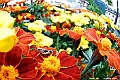 _DSC7917