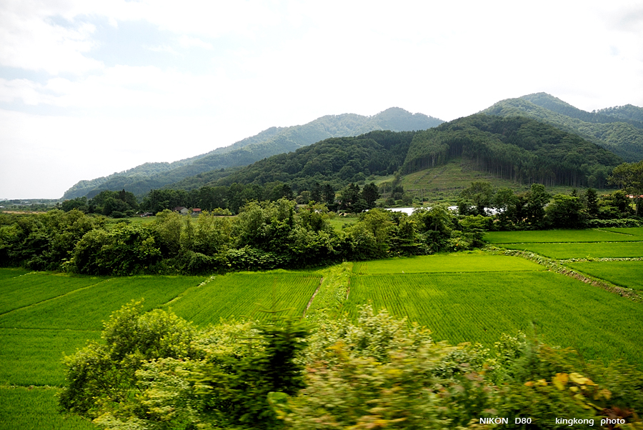 _DSC8092.JPG - 白鳥號, 札幌 --> 函館