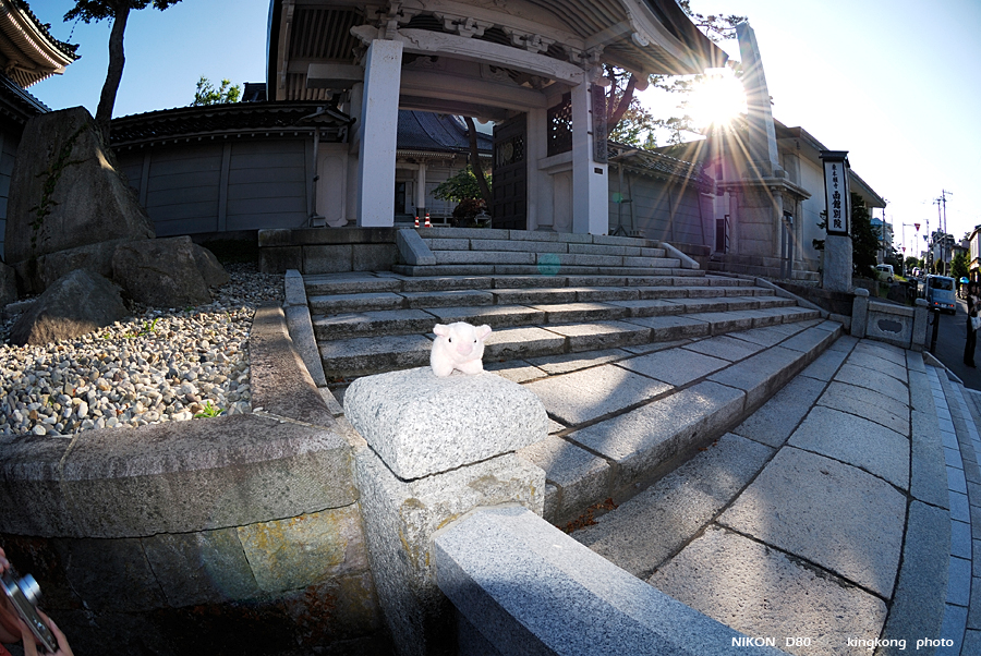 _DSC8202.JPG - street