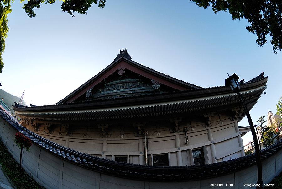 _DSC8205.JPG - street