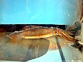 DSCF7140