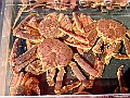 DSCF7148